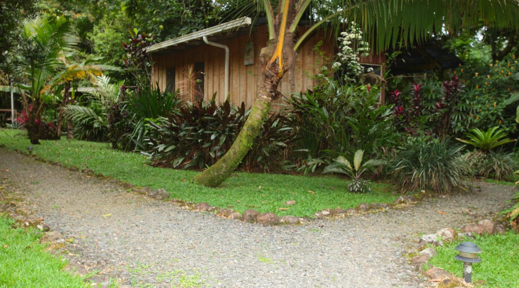 Casa Rio Blanco Eco Friendly B&B Guápiles Kültér fotó