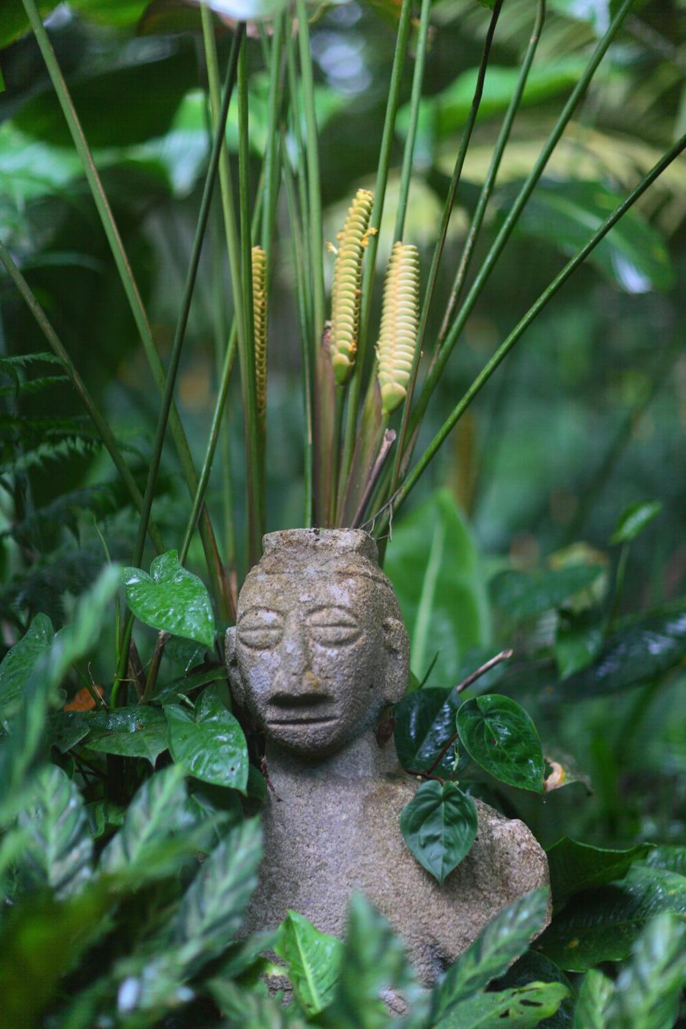 Casa Rio Blanco Eco Friendly B&B Guápiles Kültér fotó