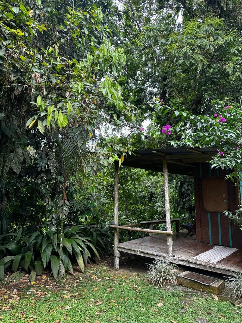 Casa Rio Blanco Eco Friendly B&B Guápiles Kültér fotó
