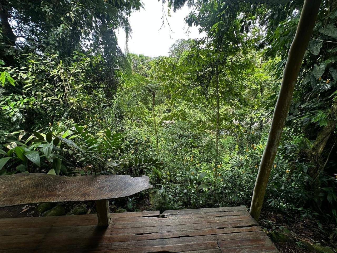 Casa Rio Blanco Eco Friendly B&B Guápiles Kültér fotó