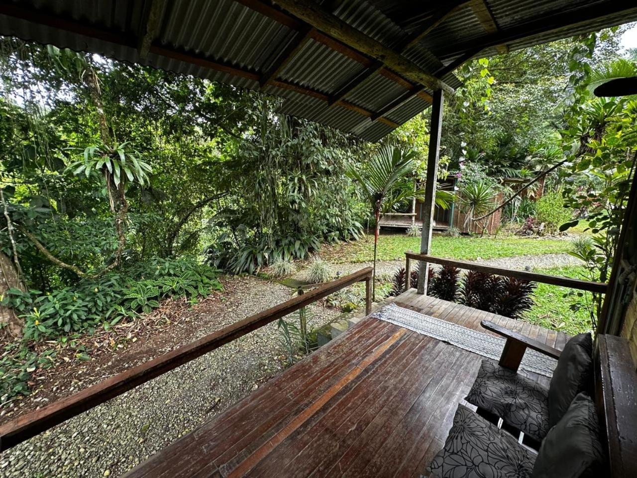 Casa Rio Blanco Eco Friendly B&B Guápiles Kültér fotó