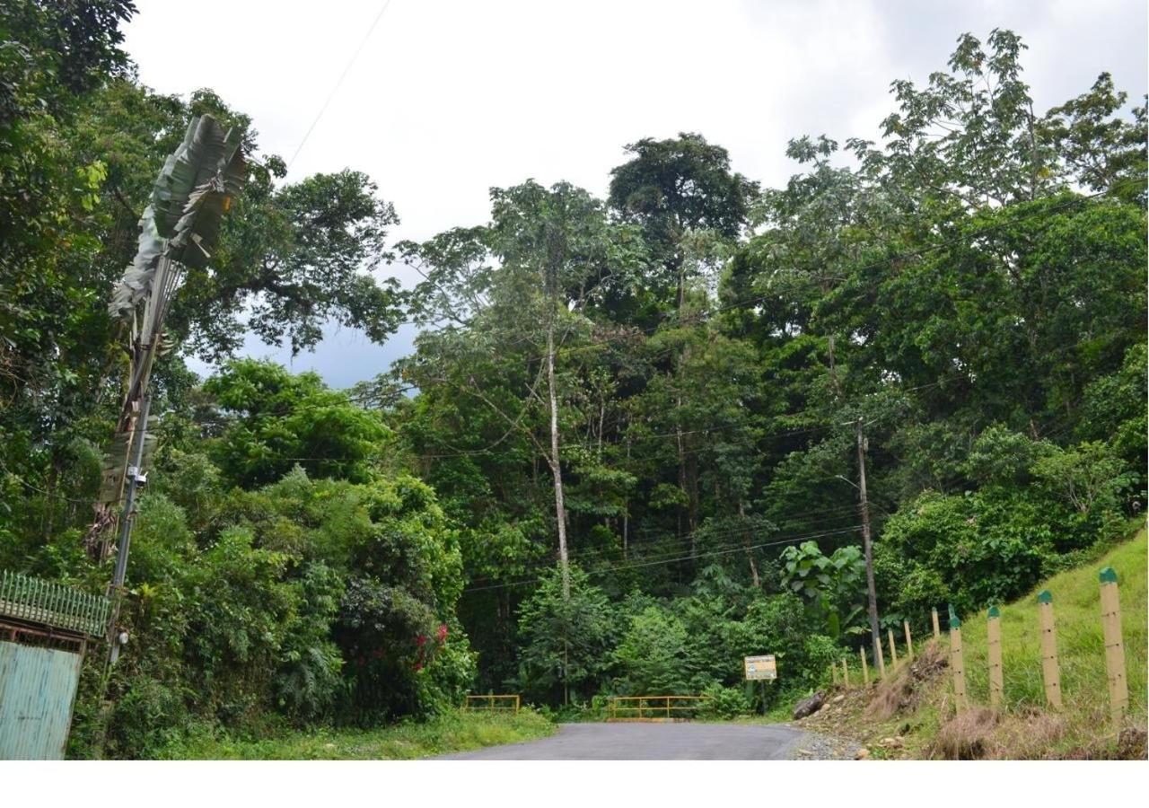 Casa Rio Blanco Eco Friendly B&B Guápiles Kültér fotó