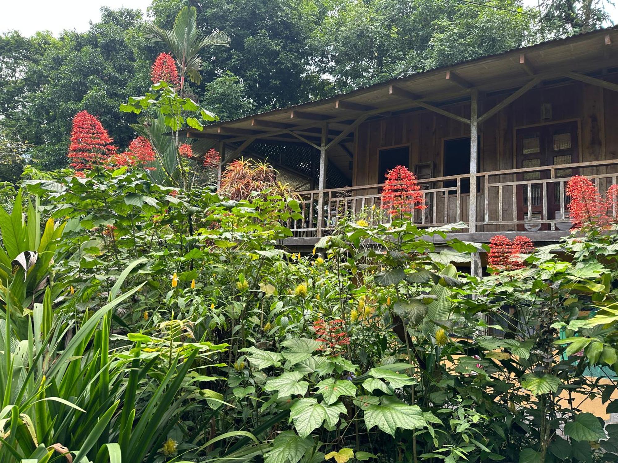 Casa Rio Blanco Eco Friendly B&B Guápiles Kültér fotó
