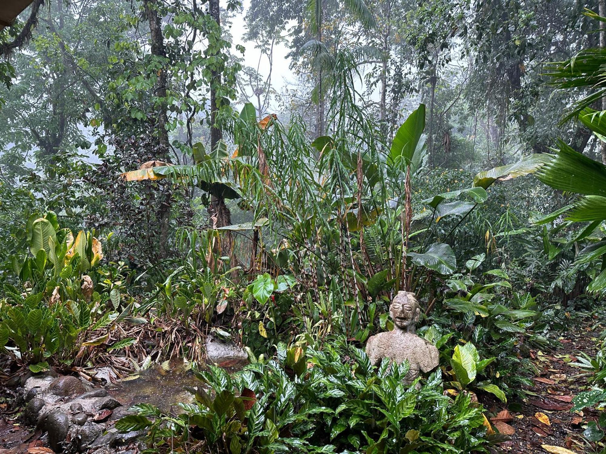 Casa Rio Blanco Eco Friendly B&B Guápiles Kültér fotó