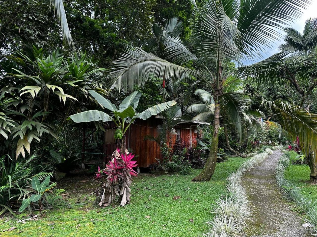 Casa Rio Blanco Eco Friendly B&B Guápiles Kültér fotó