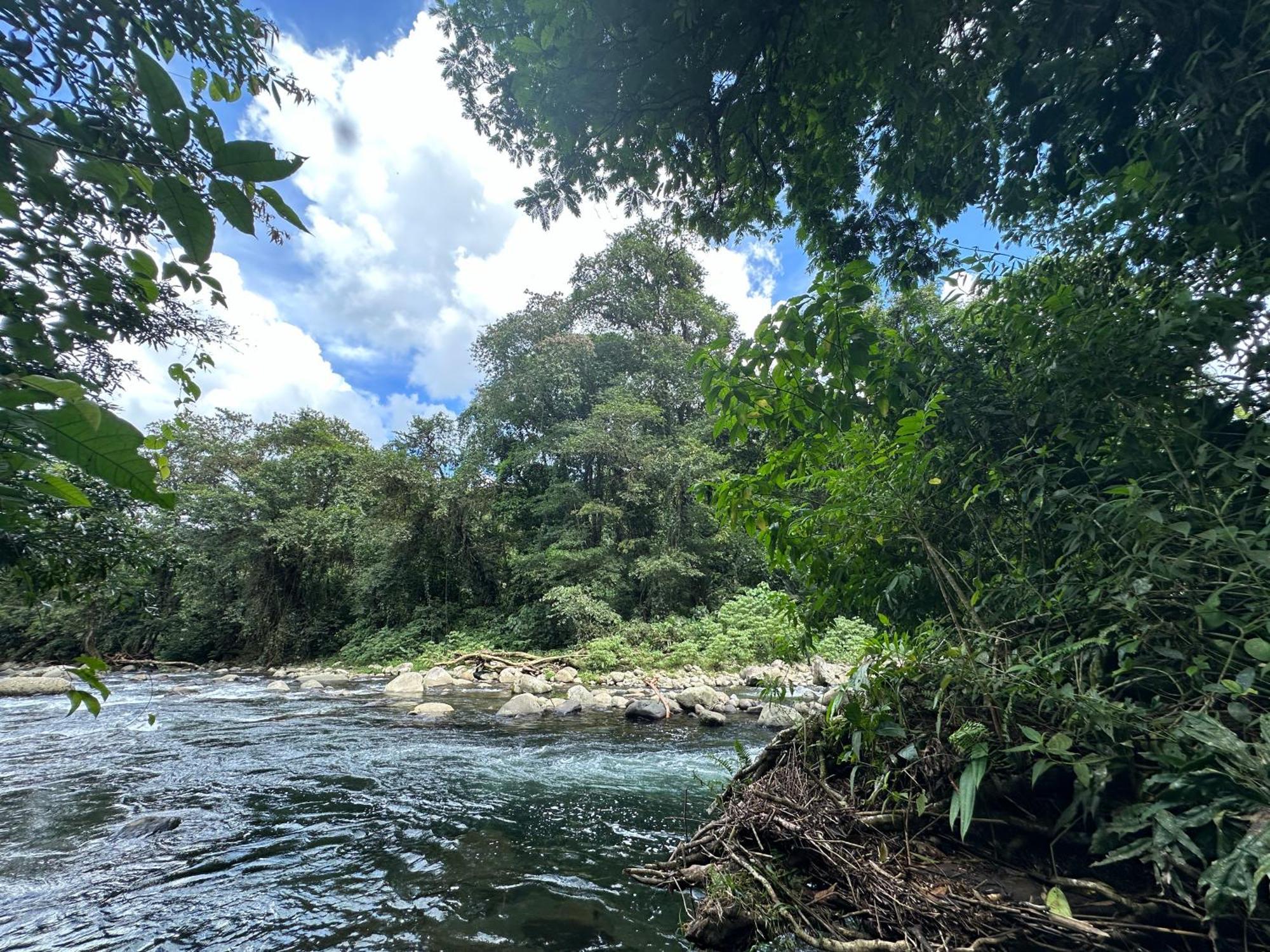 Casa Rio Blanco Eco Friendly B&B Guápiles Kültér fotó