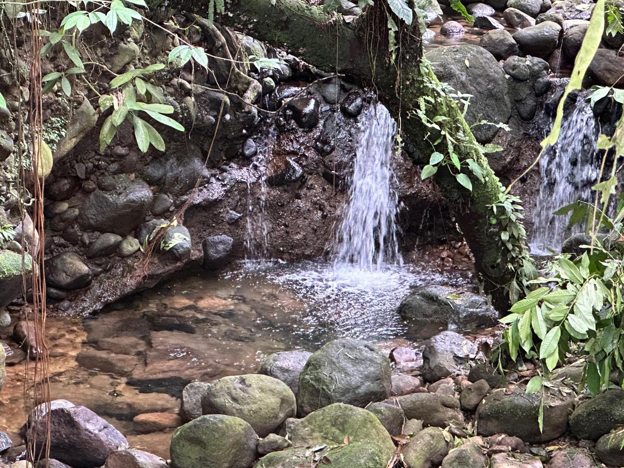 Casa Rio Blanco Eco Friendly B&B Guápiles Kültér fotó