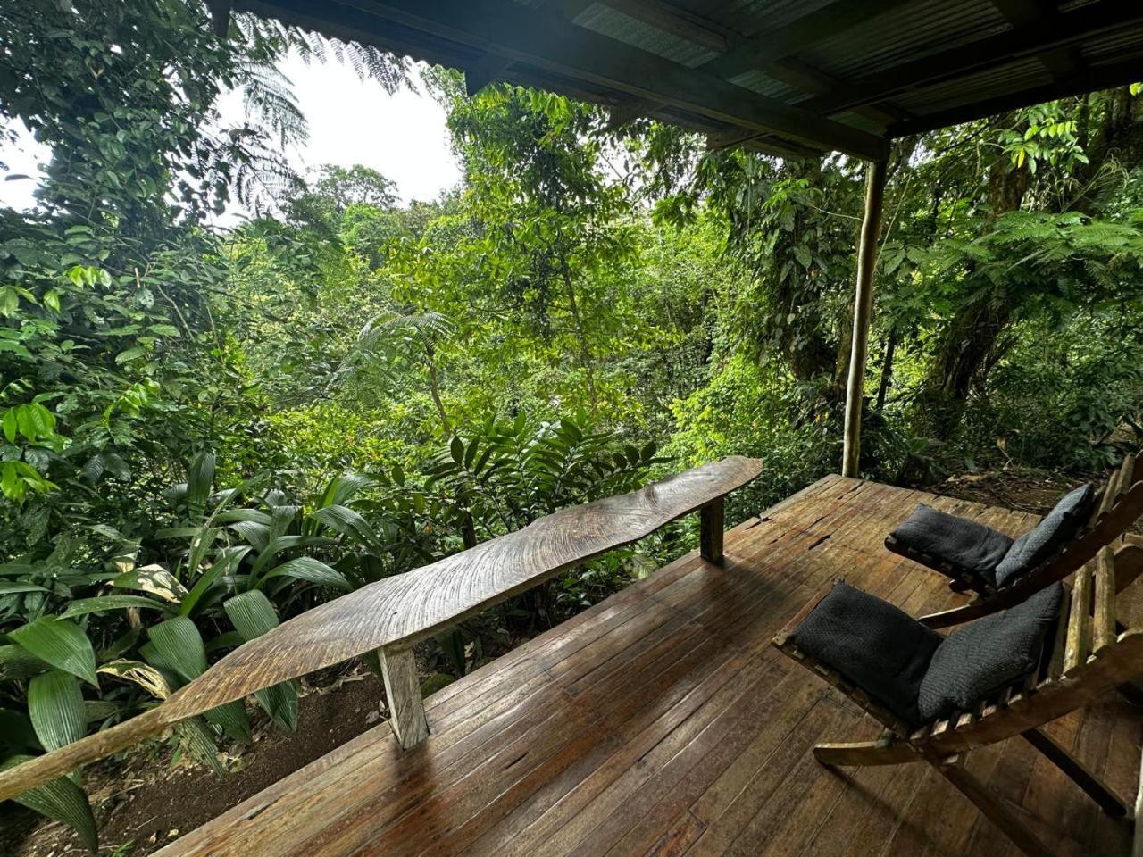 Casa Rio Blanco Eco Friendly B&B Guápiles Kültér fotó