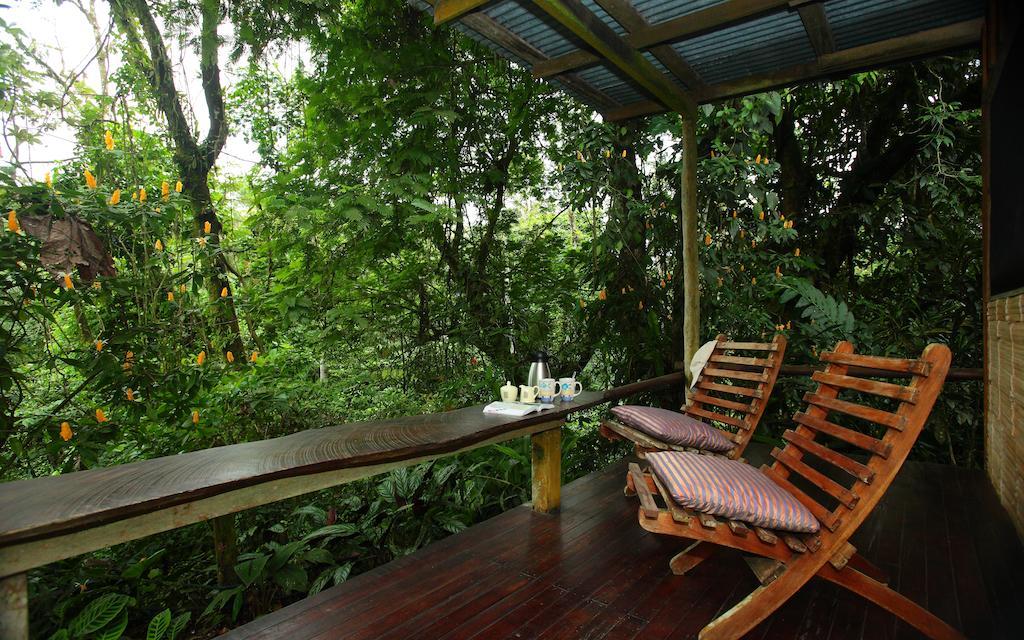 Casa Rio Blanco Eco Friendly B&B Guápiles Kültér fotó